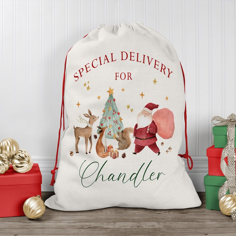 Personalised Name Christmas Dr - огляд і ціна Kids Toys Names