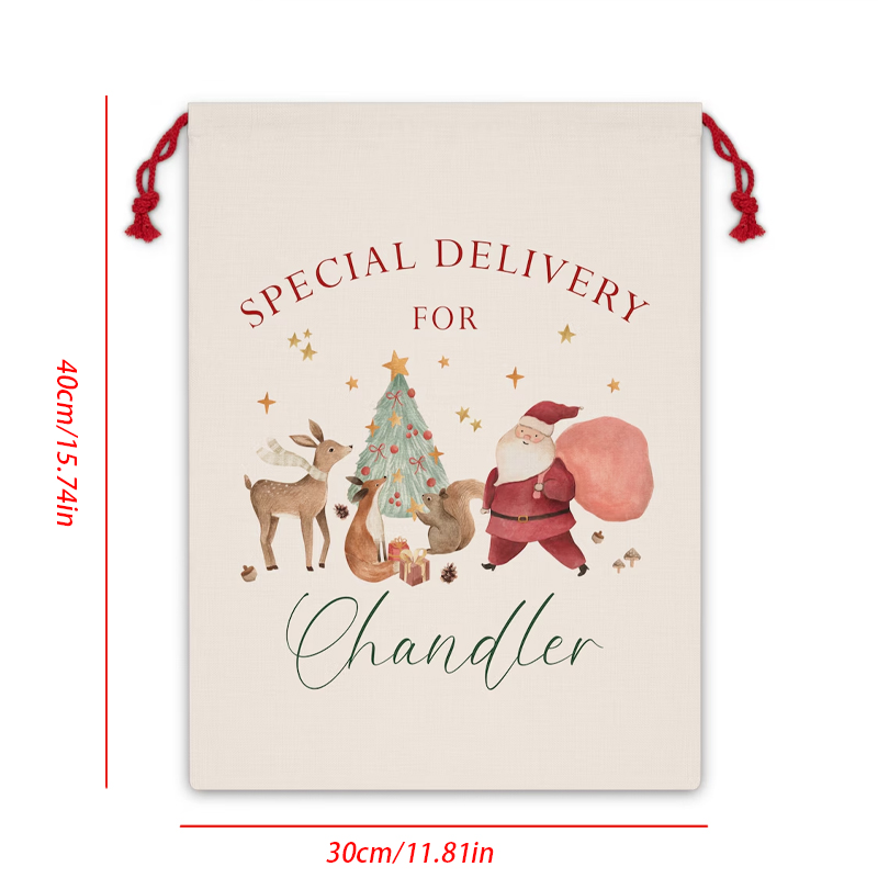 Personalised Name Christmas Dr - огляд і ціна Kids Toys Names